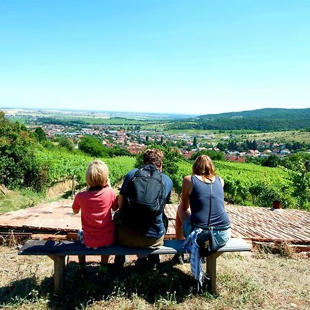 Villa Vinica Limbach エクステリア 写真