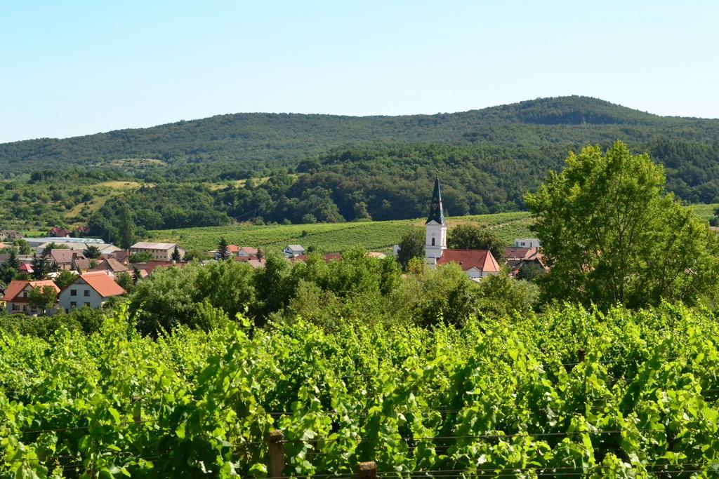 Villa Vinica Limbach エクステリア 写真