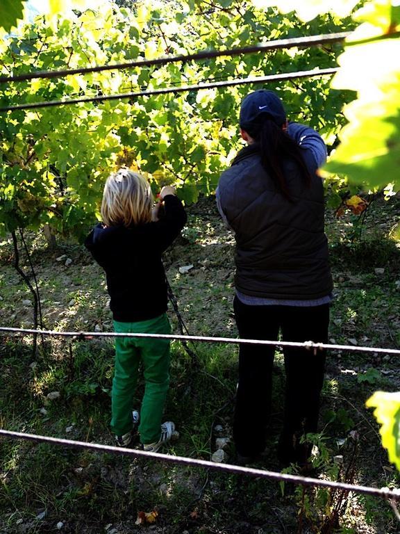 Villa Vinica Limbach エクステリア 写真