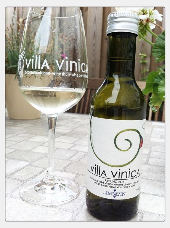 Villa Vinica Limbach エクステリア 写真