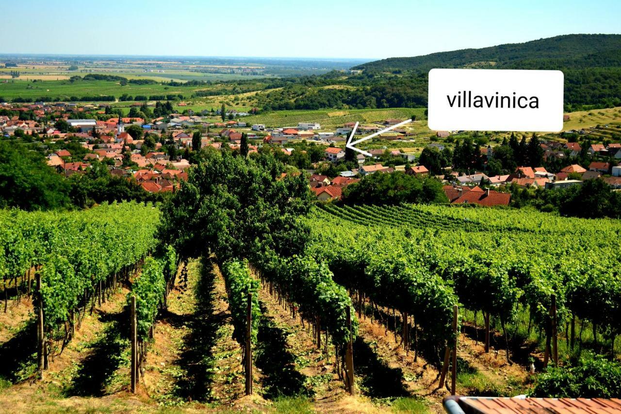 Villa Vinica Limbach エクステリア 写真