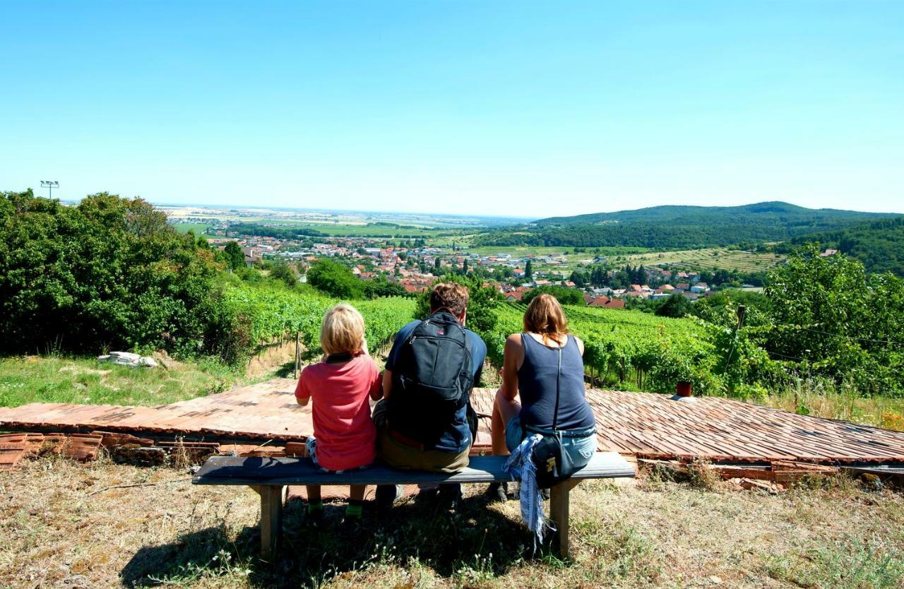 Villa Vinica Limbach エクステリア 写真