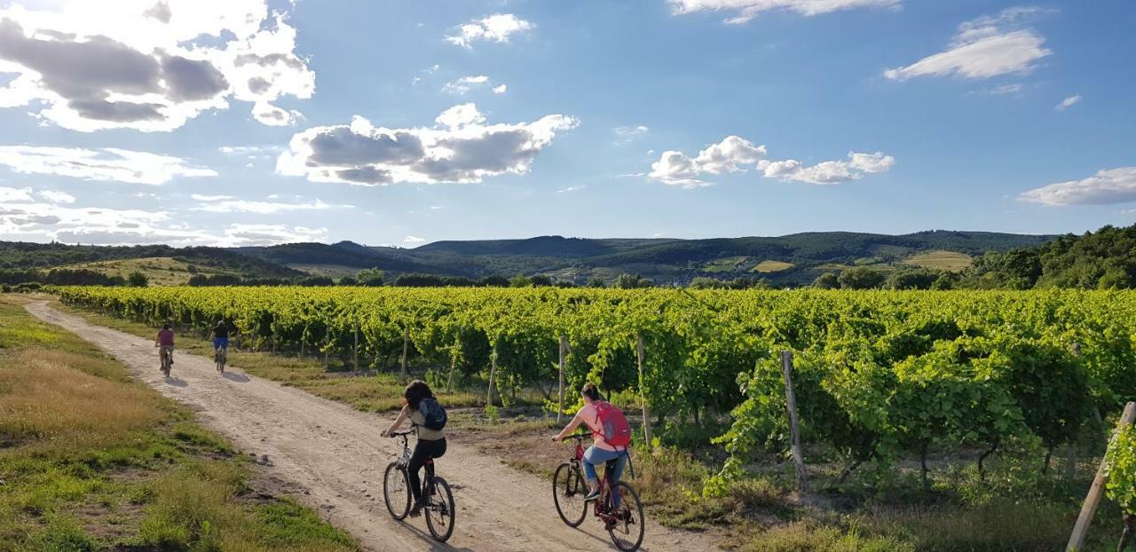 Villa Vinica Limbach エクステリア 写真